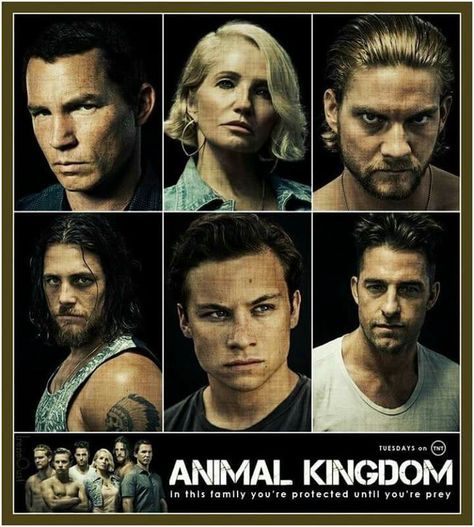 Animal Kingdom Kingdom Tv Show, Animal Kingdom Tv Show, Jake Weary, Animal Kingdom Tnt, Show Quotes, All About Animals, Tv Show Quotes, Tv Characters, Book Boyfriends