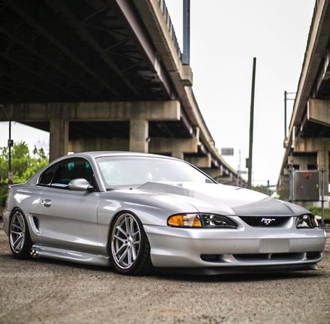 1998 Mustang Gt, Sn95 Mustang Gt, Svt Dream, 1994 Mustang, Mustang 1995, Sn95 Mustang, New Edge Mustang, 2000 Ford Mustang, Ford Mustang Cobra