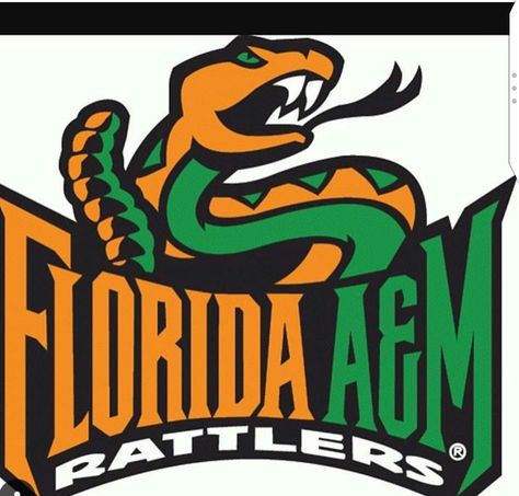 Famu College, Famu Rattlers, Sublimation Ideas Projects Inspiration, University Logo, College Logo, Picture Collage Wall, Picture Collage, African American History, Cover Photo