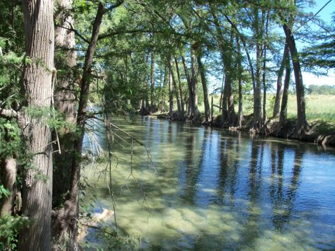 Riparian and Stream Ecosystems –Medina and Sabinal Rivers in Bandera on April 18 – Texas Riparian Association River Ecosystem, Soil And Water Conservation, San Antonio River, Flood Warning, Mansfield Park, Land Surveying, River Basin, Surface Water, Certificate Of Completion