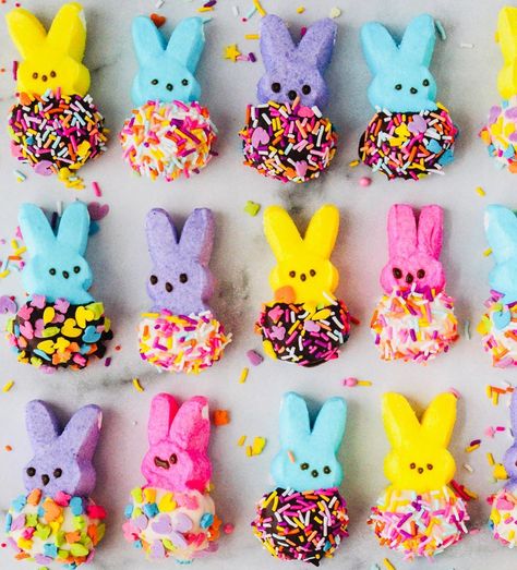 Taryn Camp on Instagram: “Chocolate-dipped Peeps covered in @sweetapolita sprinkles! Happy Sunday! 🌸 • • • #peeps #marshmallow #eastercandy #marshmallows #sprinkles…” Easter Peeps Dessert, Chocolate Covered Peeps, Peeps Dessert, Strawberries Ideas, Peeps Marshmallow, Easter Marshmallow, Marshmallow Peeps, Marshmallow Treats, Shabby Chic Easter