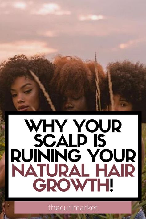 Healthy Scalp Natural Hair, Growing Long Natural Hair, Curly Hair Growth, Hair Growth Shampoo, Hair Diy, Hair Growth Serum, Sensitive Scalp, Clarifying Shampoo, Scalp Health