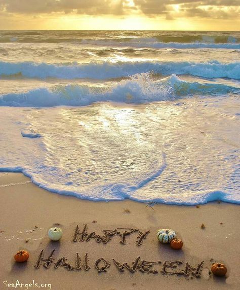 Beach Halloween Pictures, Autumn At The Beach, Beachy Halloween, Fall At The Beach, Coastal Pumpkins, Coastal Halloween, Halloween Beach, Beach Halloween, Happy Halloween Quotes