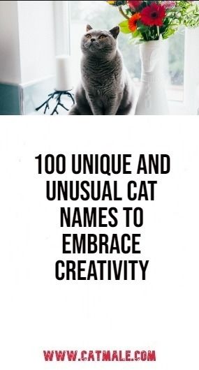 100 Unique and Unusual Cat Names to Embrace Creativity Names For Cats Unique, Male Cat Names Unique List, Weird Cat Names, Boy Cat Names Unique, Female Cat Names Unique, Male Cat Names Unique, Names For Male Cats, Cat Names Unique, Unique Unisex Names