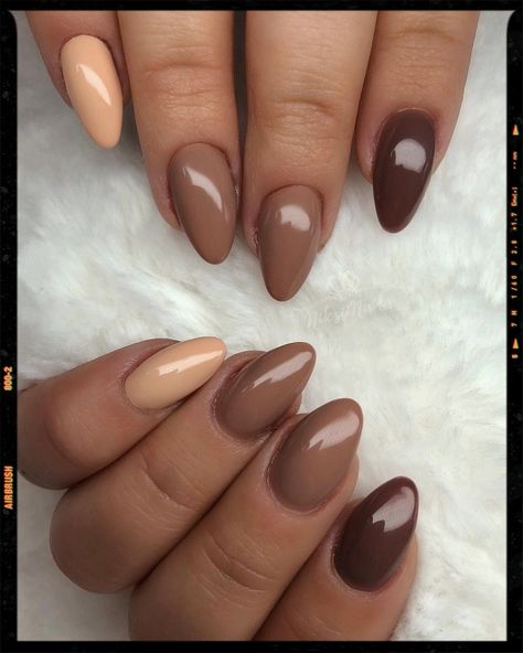 Nails Short Round Nails Fall Color, Different Color Brown Nails, Brown Biab Nails, Latte Nail Ideas, Autumn Nails Acrylic Almond, Medium Brown Nails, Coffee Nails Color, Brown Gradient Nails, Brown Nails Art