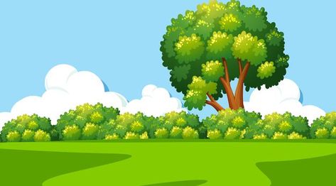 Premium Vector | Blank nature park landscape at daytime scene Cartoon Baground Image, Cartoon Maker, Nature Cartoon, Cartoon Sky, Forest Cartoon, Nature Tourism, Background Landscape, Blurred Lights, Photoshop Backgrounds Backdrops