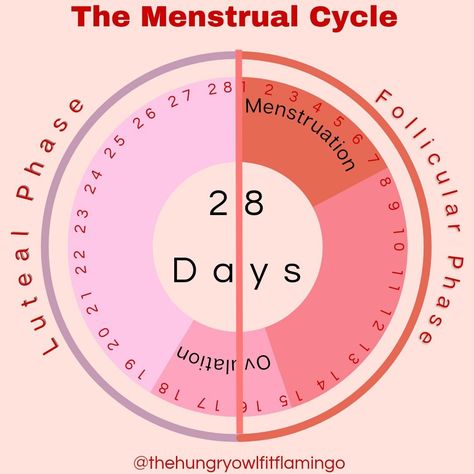 Based on 28 day cycle. Menstruation can be from22- 35 days Menstruation Cycle Chart, 28 Day Cycle Period, Menstruation Cycle Phases, Period Awareness Posters, Reproductive System Project, 28 Day Cycle, Regular Menstrual Cycle, Menstrual Cycle Infographic, Tracking Menstrual Cycle