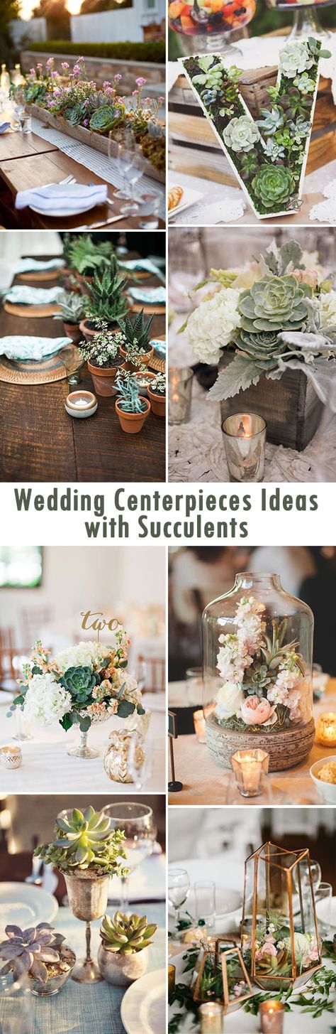 Diy wedding centerpieces ideas with succulents Succulent Wedding Table, Meghan Wedding, Succulent Wedding Decor, Succulent Wedding Centerpieces, Wedding Plants, Weddings Idea, Centerpieces Ideas, Summer Centerpieces, Succulent Centerpieces