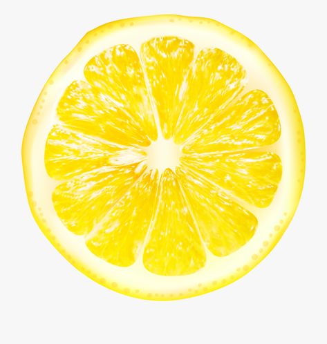 Clipart Aesthetic, Lemon Images, Lemon Pictures, Lemon Clipart, Honey Art, Lemonade Party, Clip Art Pictures, Lemon Decor, Fruit Slice