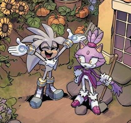 Blaze And Silver, Blaze Sonic, Silver And Blaze, Sonic Idw, Discord Server, The Hedgehog, Sonic, Sonic The Hedgehog, Comics