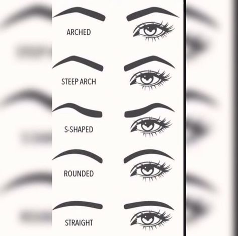 Eyebrow Shape...Mine are round/curved❣️ Curved Eyebrows, Eyebrow Shape, Eyebrows, Makeup, Beauty, Make Up