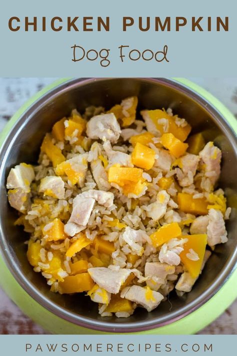 Chicken Rice Pumpkin For Dogs, Homemade Dog Food Pumpkin, Chicken Rice And Pumpkin Dog Food, Homemade Dog Food Recipes With Pumpkin, Homemade Dog Food With Pumpkin, Homemade Chicken Dog Food Recipes, Pumpkin Dog Food Recipes, Dog Food With Pumpkin, Canned Pumpkin For Dogs