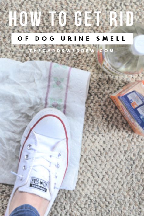 Pee Smell Out Of Carpet, Urine Smell Out Of Carpet, Steam Cleaner Solution, Easy Diy Closet, Pet Urine Smell, Cleaning Your Room, Dog Pee Smell, Organization Checklist, Closet Organization Hacks