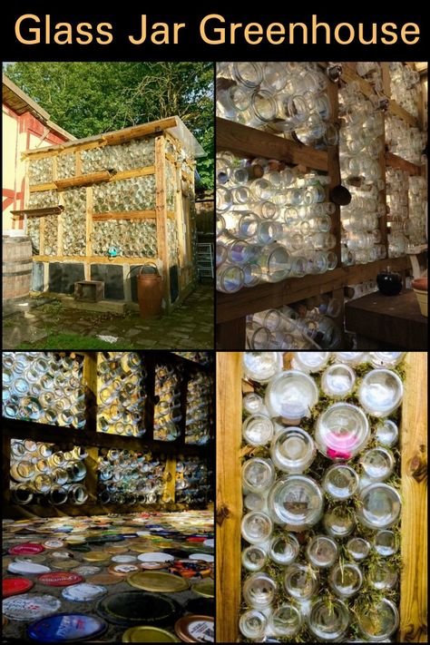 Want to build a greenhouse in your backyard? If you have access to plenty of glass jars, you can use them for a very cheap building project! Glass Bottles In Garden, Wine Bottle Greenhouse, Glass Bottle Greenhouse, Glass Jar Garden Ideas, Greenhouse Out Of Pallets, Cob Greenhouse, Growing Dome, Glass Bottle Wall, Build Your Own Greenhouse