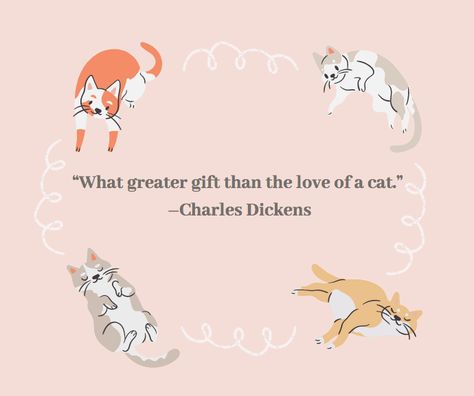 Cat Lovers Quotes, Cat Love Quotes, Cat Lover Quote, Curiosity Killed The Cat, Cat Loss, Southern Sayings, Cat Quotes Funny, Lovers Quotes, Owning A Cat