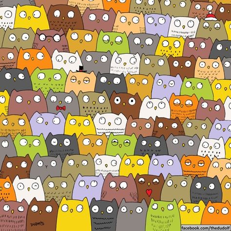 Can you spot the #cat in this sea of #owls???  (via #DORAL 360) Reto Mental, Find The Hidden Objects, Can You Find It, Wheres Wally, Puzzle Photo, Wheres Waldo, Hidden Images, Cat Hiding, Animal Hide