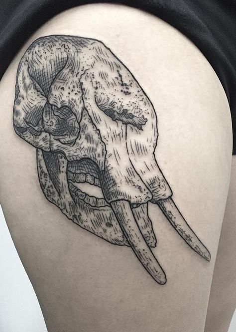 elephant skull tattoo Elephant Skull Tattoo, Elephant Skull Drawing, Skeleton Elephant Tattoo, Tattoo Ideas Placement, Elephant Skeleton Drawing, Elephant With Trunk Up Tattoo, Elephant Stuffed Animal Tattoo, Elephant Head Tattoo, Elephant Skull