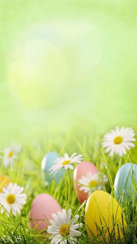 Easter Iphone Wallpaper, Easter Portraits, Wallpaper Edgy, Happy Easter Wallpaper, Frühling Wallpaper, Background Retro, Wallpaper Homescreen, Easter Backgrounds, Illustration Wallpaper