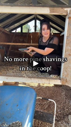 557K views · 12K reactions | Bye bye pine shavings! #chickens #backyardchickens #chickensofinstagram#chickencoops #homesteadlife#homestead #homesteading #farmlife | The Hot Mess Homestead | The Hot Mess Homestead · Original audio Florida Farm, Pine Shavings, Garden Containers, Emergency Prepping, Hot Mess, Chickens Backyard, Bye Bye, Farm Life, Farm Animals