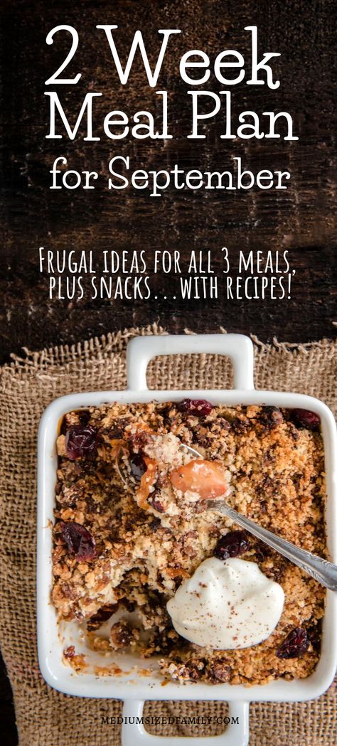 Get this free 2 week meal plan for September! You'll love that it includes all 3 meals and snacks for the whole 2 weeks...with frugal food choices on sale in September. 2 Week Meal Plan, Whole Foods Meal Plan, Frugal Food, Budget Meal Planning, Free Meal Plans, Cheap Dinners, Best Food Ever, Frugal Meals, Food Choices