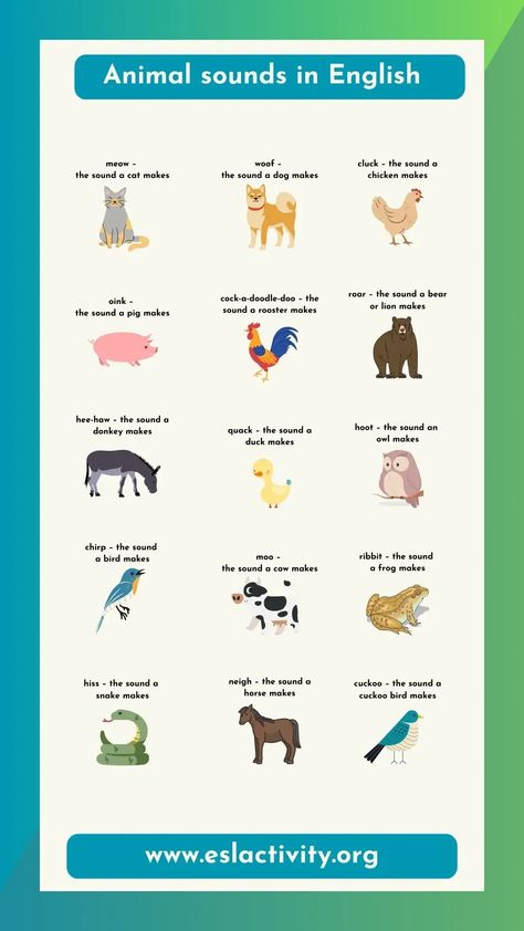 Check out this animal sounds in English chart. Have some fun learning the animals sounds! #animal #animals #sounds #sound #learnenglish Shape Activities Preschool, Living In China, Animal Sounds, English Vocab, Shapes Activities, Esl Teaching, Find A Job, Teaching Tips, English Vocabulary