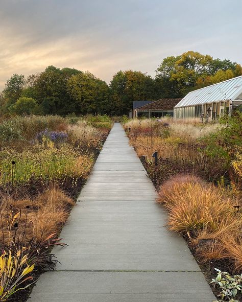 Piet Oudolf shares his garden design for the world-famous restaurant, Noma | House & Garden Wild Gardens, Nordic Garden, Naturalistic Garden, Piet Oudolf, Ferns Garden, Gardens Of The World, Prairie Garden, Landscape Elements, Garden Design Plans