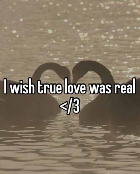 I want a boyfriend so bad 😫😭 I Have 50 Billion Boyfriends, If I Had A Boyfriend, I Want A Bf So Bad, I Want Him To Want Me, I Wish I Had A Boyfriend, I Just Want A Boyfriend, Wanting A Boyfriend, Relatable Post Funny So True, Whisper Confessions Relationships