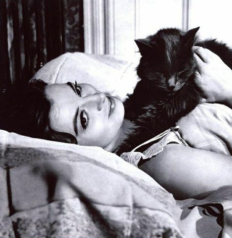 Grunge Pictures, Black And White Movie, Claudia Cardinale, Dark Feminine Aesthetic, Cat People, Feminine Aesthetic, Movie Photo, Aesthetic Collage, White Photo