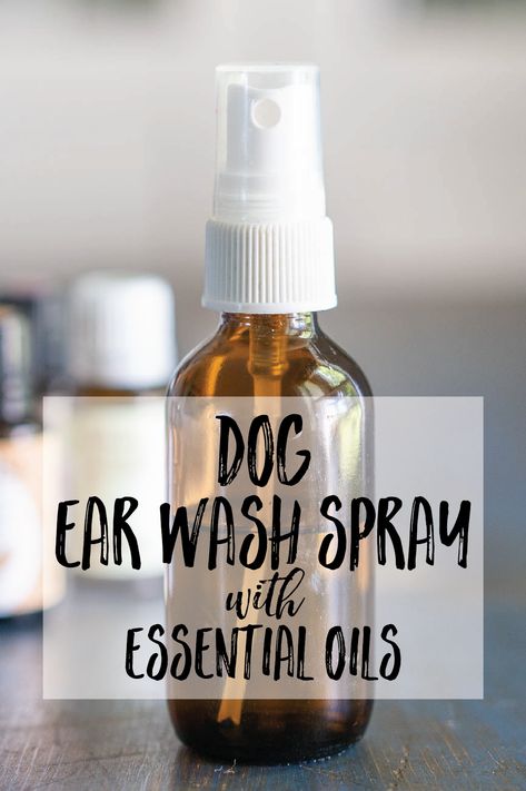 Yeast In Dogs, Dog Ear Wash, Essential Oils Dogs, Dog Ear Cleaner, Dogs Ears Infection, Natural Pet Care, Dog Remedies, Homemade Essential Oil, Ear Infections