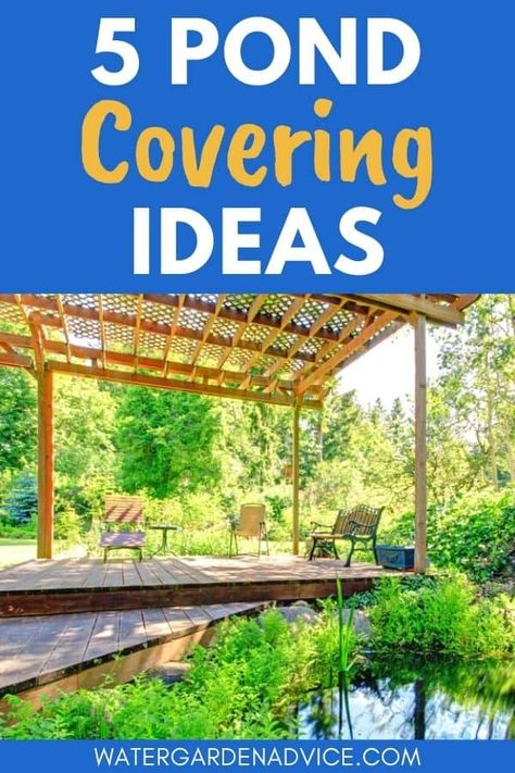 Koi Pond Waterfall Ideas, Pond Netting Ideas, Pond Shade Ideas, Pond Shade Cover Ideas, Pond Cover Ideas, Diy Pond Cover, Fish Pond Cover Ideas, Covered Koi Pond, Yard Fish Pond