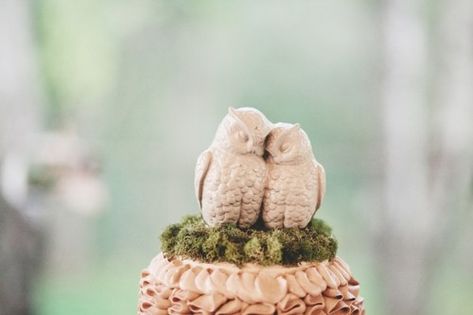 Cuddling Owl Cake Topper Picture Wedding Centerpieces, Owl Wedding Cake Topper, Owl Wedding Cake, Ladybug Cakes, Owl Wedding, Lemon Poppy Seed Muffins, Book Centerpieces, Seed Muffins, Cinderella Cake