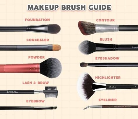 Urutan Make Up, Makeup Brush Guide, Makeup Brush Uses, Membentuk Alis, Brush Guide, Alat Makeup, Makeup Order, Makeup Brushes Guide, Learn Makeup