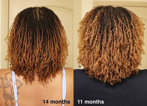 Sister Locks Hairstyles, Sisterlocks Styles Updo, Locs Ideas, Micro Braids Hairstyles, Sisterlocks Styles, Loc Hairstyles, Short Locs Hairstyles, Faux Locs Hairstyles, Starter Locs