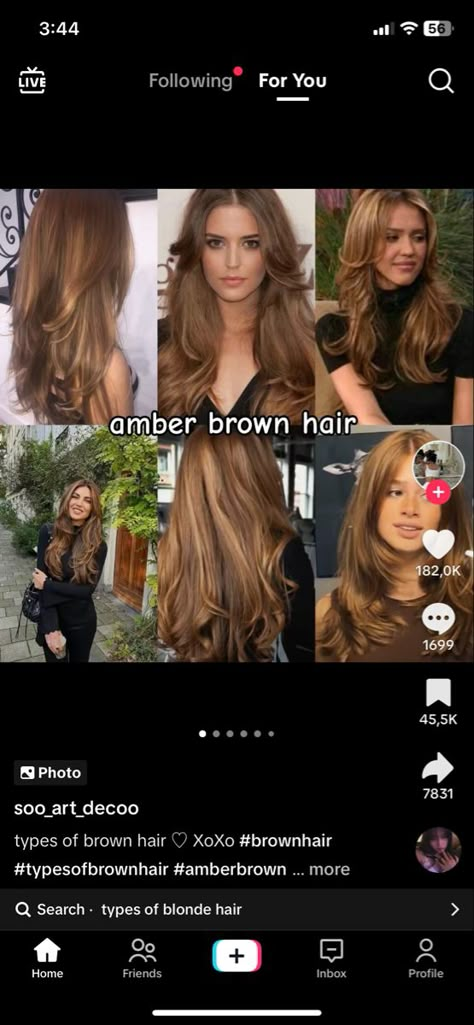 Jessica Alba Blonde Hair, Amber Brown Hair, Types Of Brown Hair, Jessica Alba Hair, Light Brunette Hair, Golden Brown Hair, Haircut Inspo, Latest Hair Color, Chocolate Hair