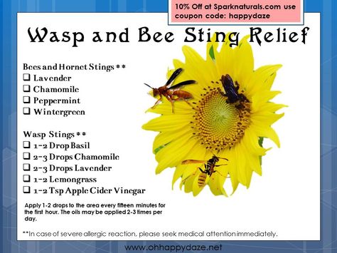 Bee Sting Relief, Wasp Sting, Sting Relief, Insect Bite, Wasp Stings, Essential Oil Remedy, Young Living Essential Oils Recipes, Trees And Flowers, Yl Oils