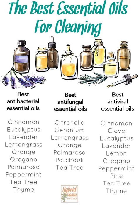 Essential Oil Blends Clean House, Vinegar And Essential Oil Cleaner, Make Your Own Natural Cleaners, Antibacterial Essential Oil Blend, Disinfectant Essential Oils, Essential Oils Must Haves, Disinfecting Essential Oils, Homemade Cleaning Products With Essential Oils, Herbal Cleaning Recipes