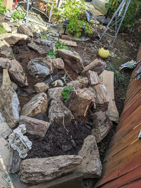 Wood Stone, Petrified Wood, A Rock, Rock Garden, Garden Paths, Stone, Building, Wood