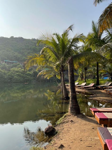 Its a small yet the most beautiful lake in Arambol Beach, Goa. Arambol Beach Goa, Beautiful Lakes, Goa, Bucket List, Most Beautiful, Country Roads, Lake, Road, Natural Landmarks