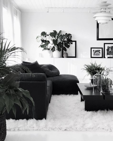 Black And White Apartment Living Room, Black Couch White Living Room, Decorate Black Couch, Black Sofa Apartment, Black Velvet Living Room Ideas, Monochromatic Living Room Black, Black Minimalist Apartment, Minimalist Black Living Room, Black Furniture Apartment