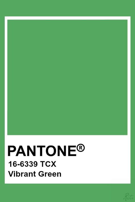 Poster Design Green, Pantone Tcx, Pantone Green, Purple Color Palette, Pantone Color Chart, Pantone Swatches, Pantone Palette, Green Color Palette, Pantone Colour Palettes