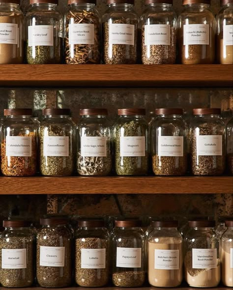 Herbal Magic Aesthetic, Home Medicine Storage Ideas, Herb Organisation, Herbal Shelf, Herbs Aesthetic, Herbalism Aesthetic, Herbalist Aesthetic, Herbalist Kitchen, Apothecary Pantry