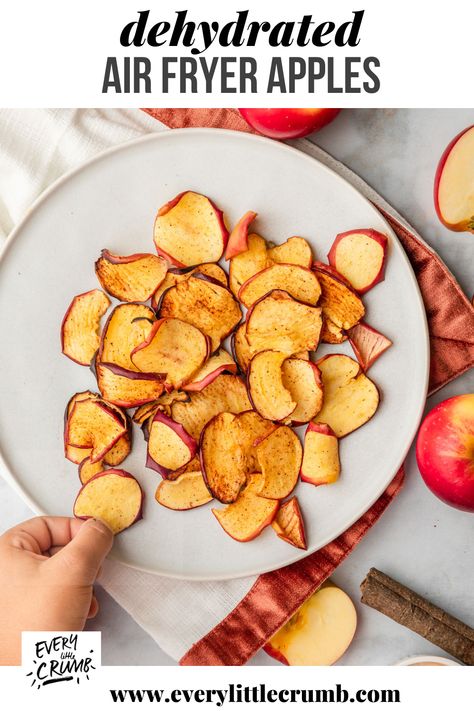 Air Fryer Dehydrator Apples, Airfryer Dehydrated Apples, Dehydrate Apples In Air Fryer, How To Dry Apples In Air Fryer, Air Fry Fruit, Drying Apples In Air Fryer, Dried Apples In Air Fryer, Air Fryer Dehydrated Apples, Dehydrated Apples In Air Fryer