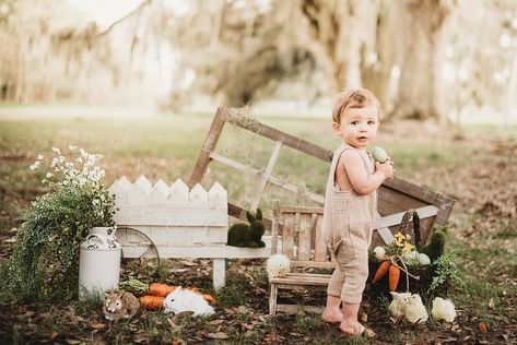 Easter Mini Session Ideas, Easter Bunny Photoshoot, Mini Session Ideas, Studio Mini Sessions, Easter Baby Photos, Easter Mini Session, Easter Outdoor, Animal Photoshoot, Easter Photography