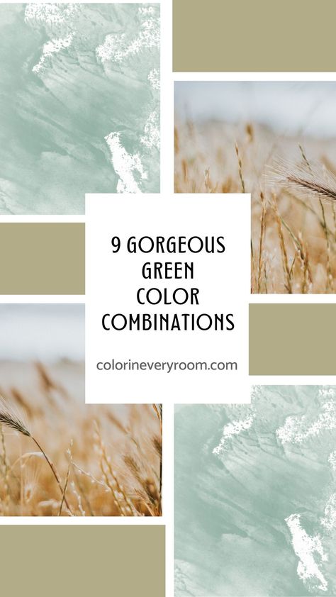 Love green? Check out these 9 color combos using the color green! Experiment with one of these color combinations in your home decor: https://www.colorineveryroom.com/blog/9-green-color-combinations Green Color Combinations, The Color Green, Green Home Decor, Green Home, Color Combos, Color Palettes, Green Color, Green Colors, Color Combinations