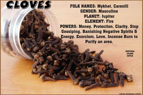 Cloves Magick, Spiritual Herbalism, Cloves Health Benefits, Homemade Incense, Herbal Witch, Hoodoo Spells, Magickal Herbs, Witch Herbs, Magic Herbs