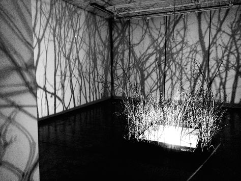 Shadow Projection Art, Shadow Installation, Shadow Projection, Projection Installation, Shadow Tree, Shadow Lamp, Shadow Shadow, Light Art Installation, Shadow Theatre