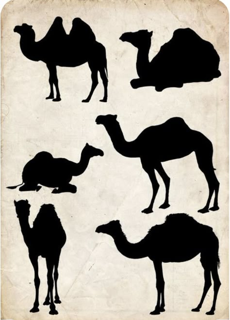 Camel Tattoo, Camel Silhouette, Camels Illustration, Felting Inspiration, Camels Art, Desert Animals, Tea Ideas, Christmas Nativity Scene, Silhouette Art