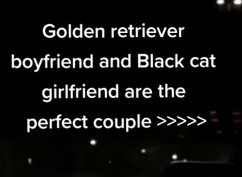 Golden Retriever Boyfriend X Black Cat Girlfriend, Black Cat Gf Aesthetic, Black Cat Gf And Golden Bf Aesthetic, Black Cat Girlfriend And Golden Retriever Boyfriend, Grumpy Gf Sunshine Bf Aesthetic, Black Cat Gf And Golden Retriever Bf Couple, Black Cat X Golden Retriever Couple, Black Cat Gf And Golden Retriever Bf, Black Cat Girlfriend And Golden Retriever Boyfriend Aesthetic