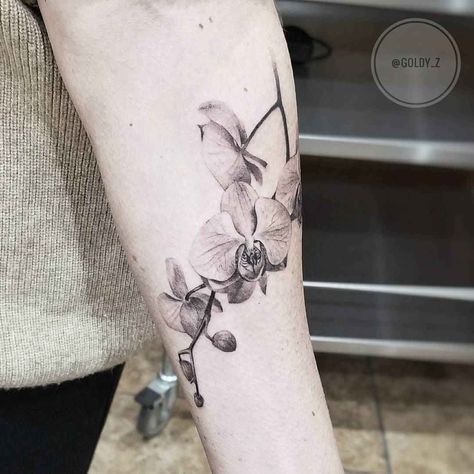 Fine Line Black And Grey Flower Tattoo, Realism Botanical Tattoo, Black And Grey Orchid Tattoo, Realistic Orchid Tattoo, Fine Line Realism Tattoo, Black Orchid Tattoo, Orchid Tattoo Design, Orchid Tattoos, Orchid Flower Tattoos