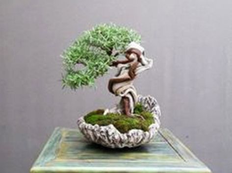 Finding Great Rosemary Bonsai Is Easier Said… | Bonsai Bark Rosemary Bonsai, School Gallery, Bonsai Ficus, Macro Photography Nature, Bonsai Tree Care, Mame Bonsai, Indoor Bonsai Tree, Juniper Bonsai, Mini Bonsai